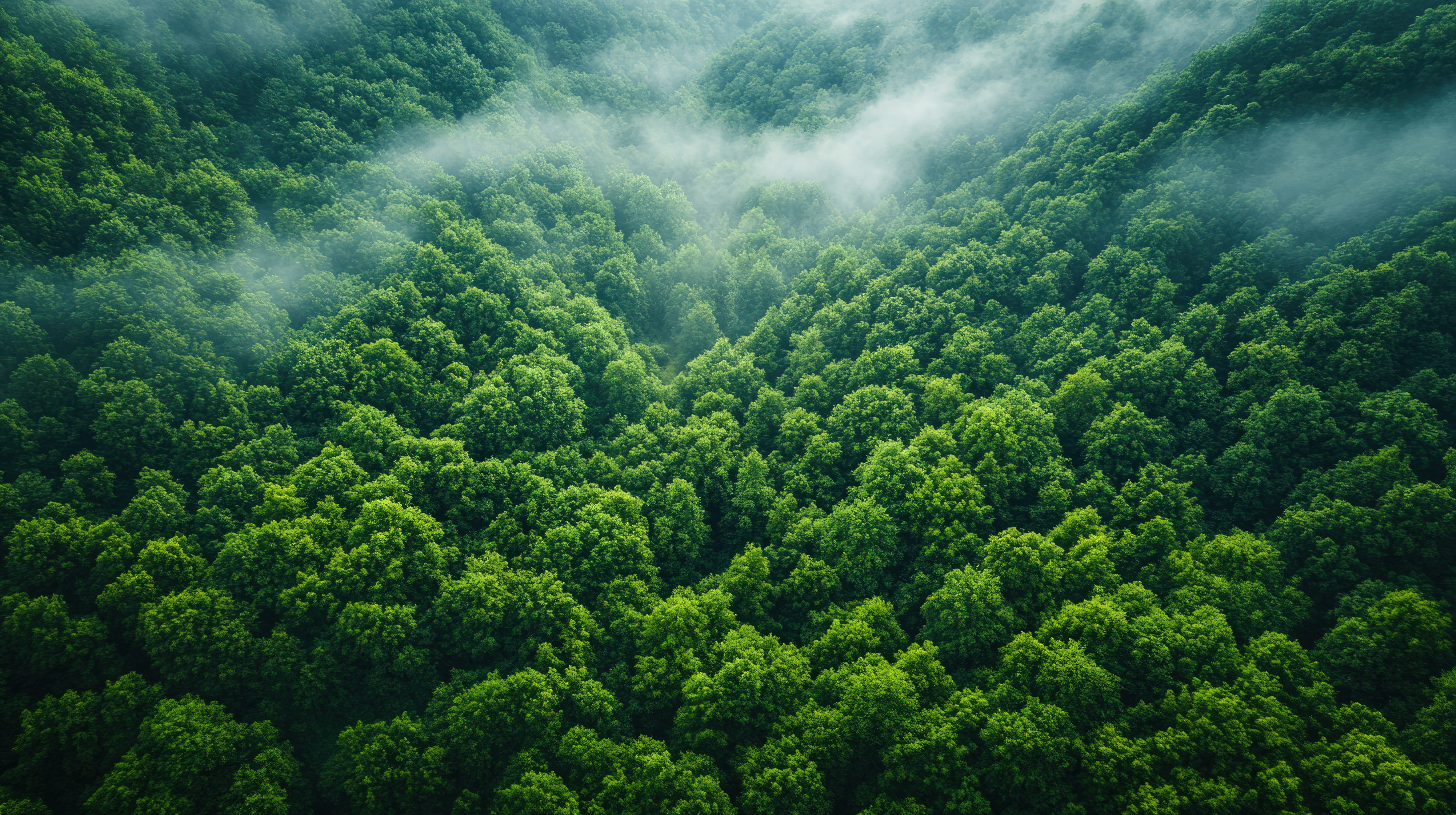 Projets de développement durable